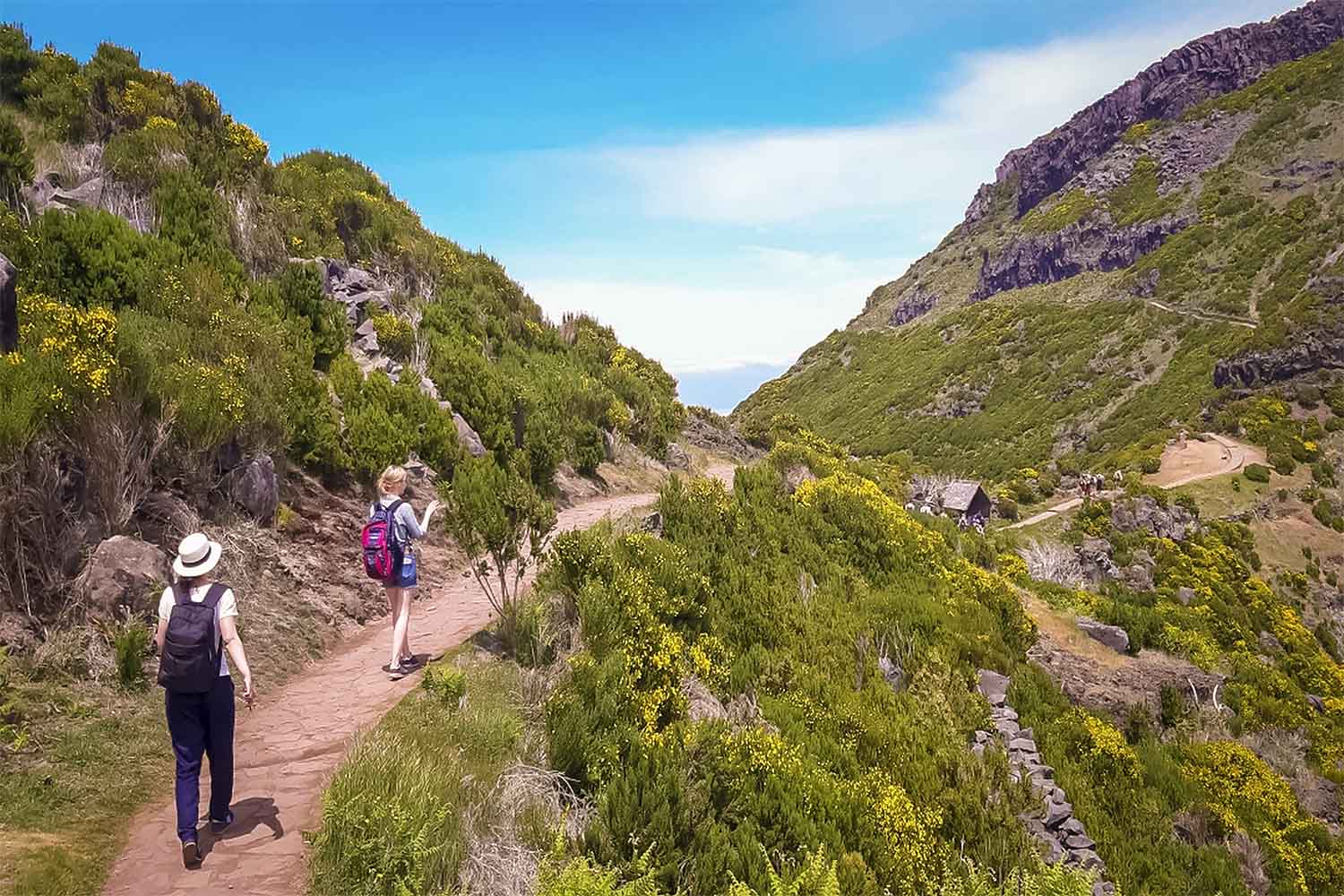 Vereda da Ilha – Pico Ruivo Walk