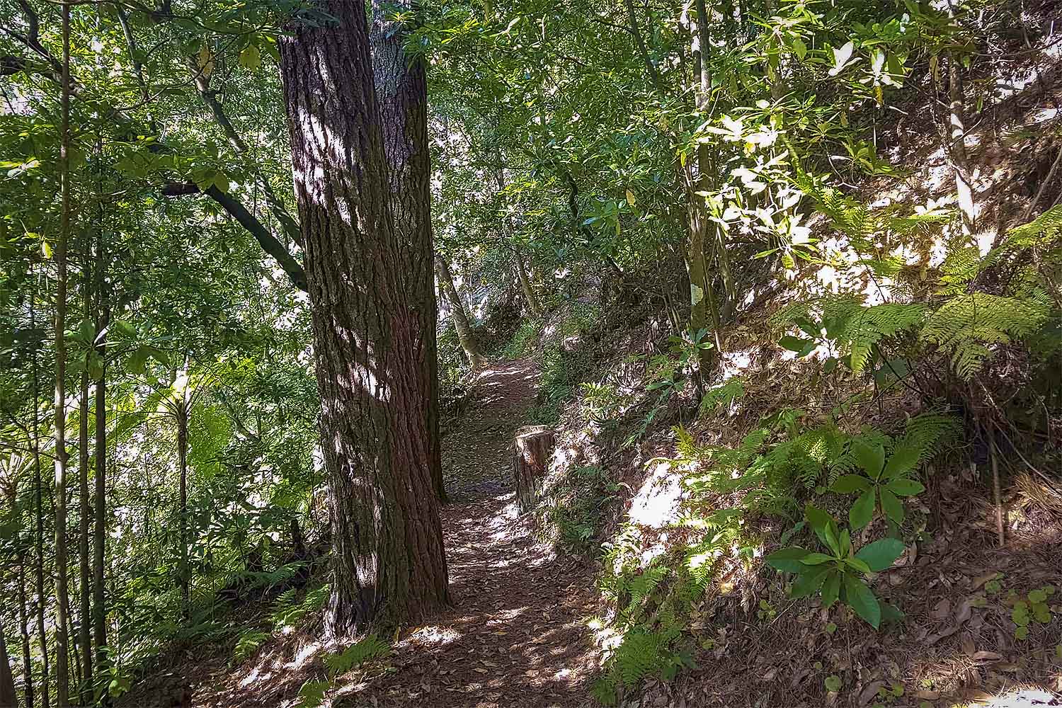 Vereda das Funduras Walk