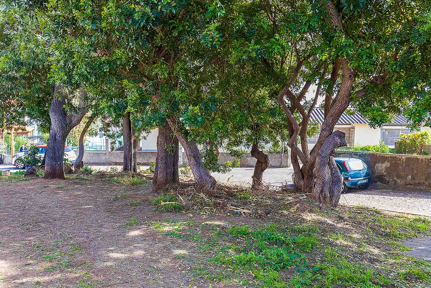 CR7 (Cristiano Ronaldo) Tour by Elma