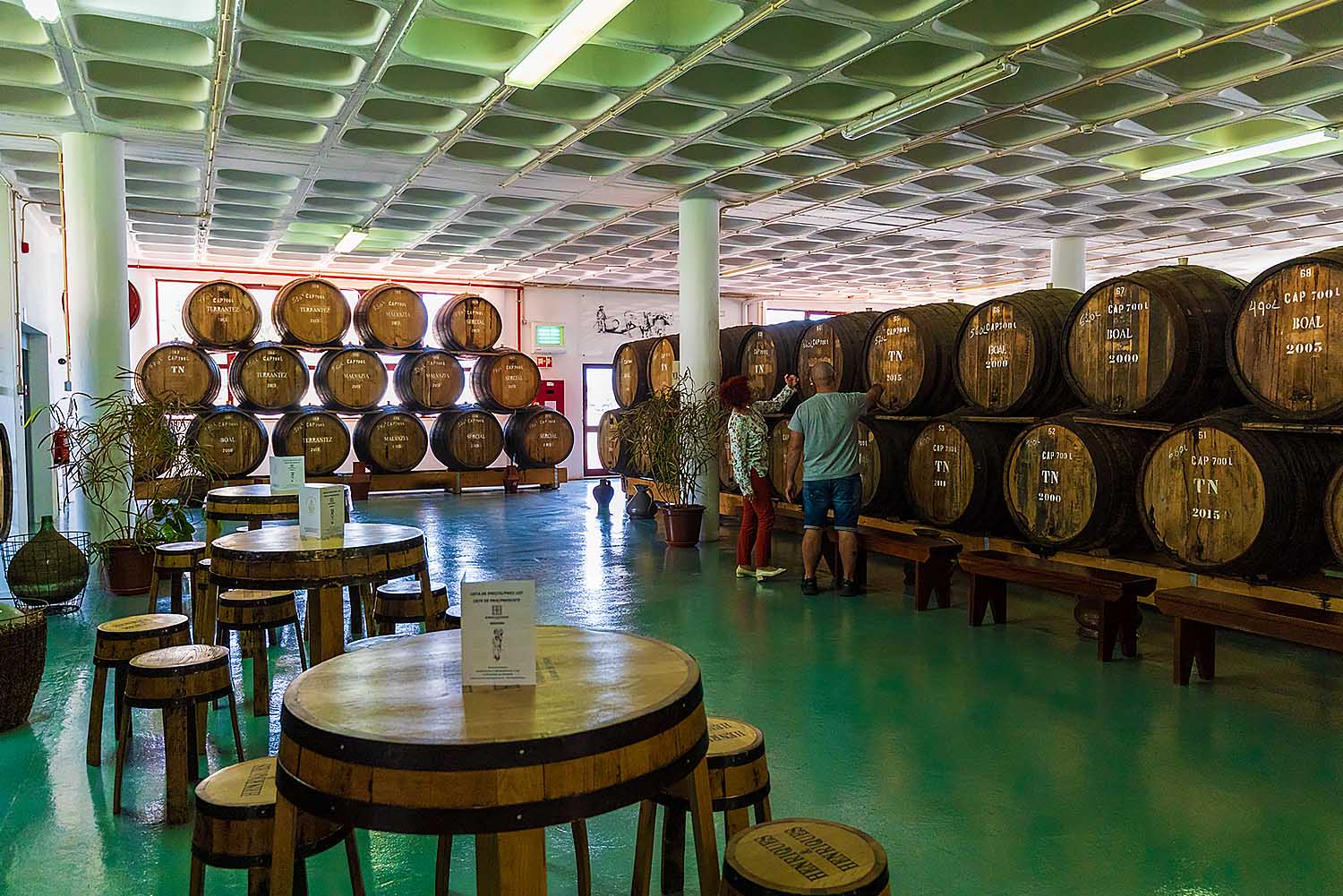 Madeira Wine Tour
