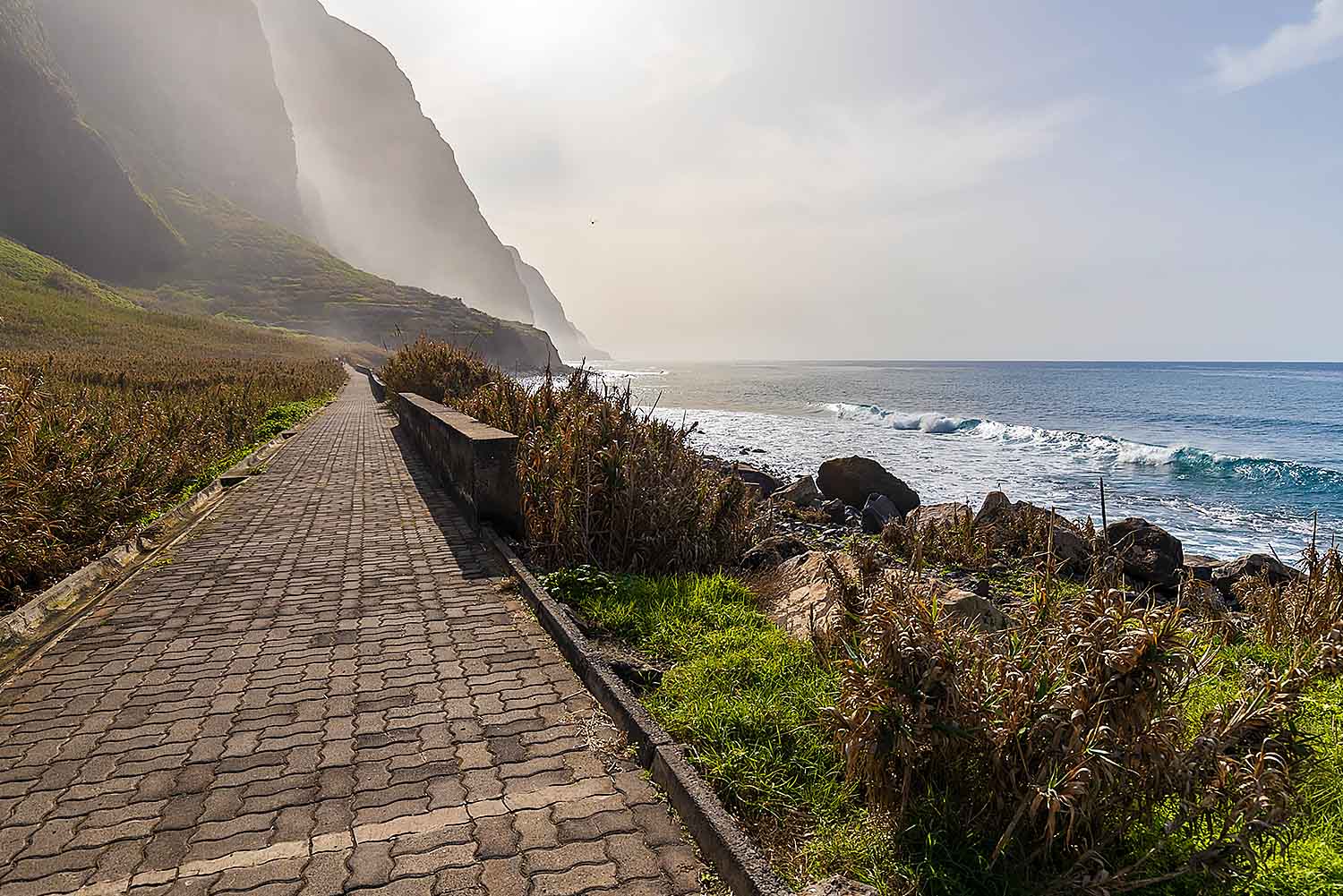 North Tour - Half Day