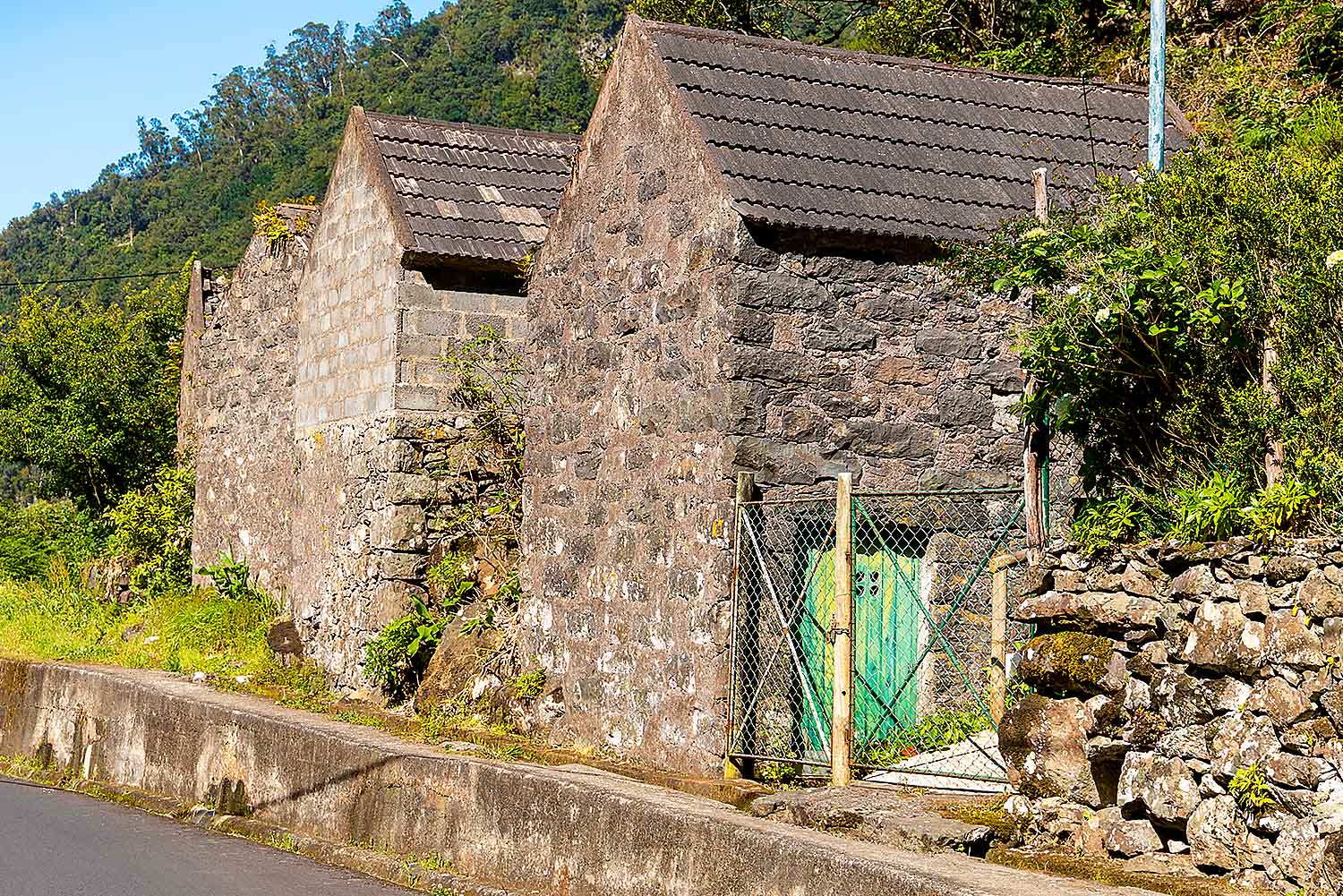 North Tour - Half Day