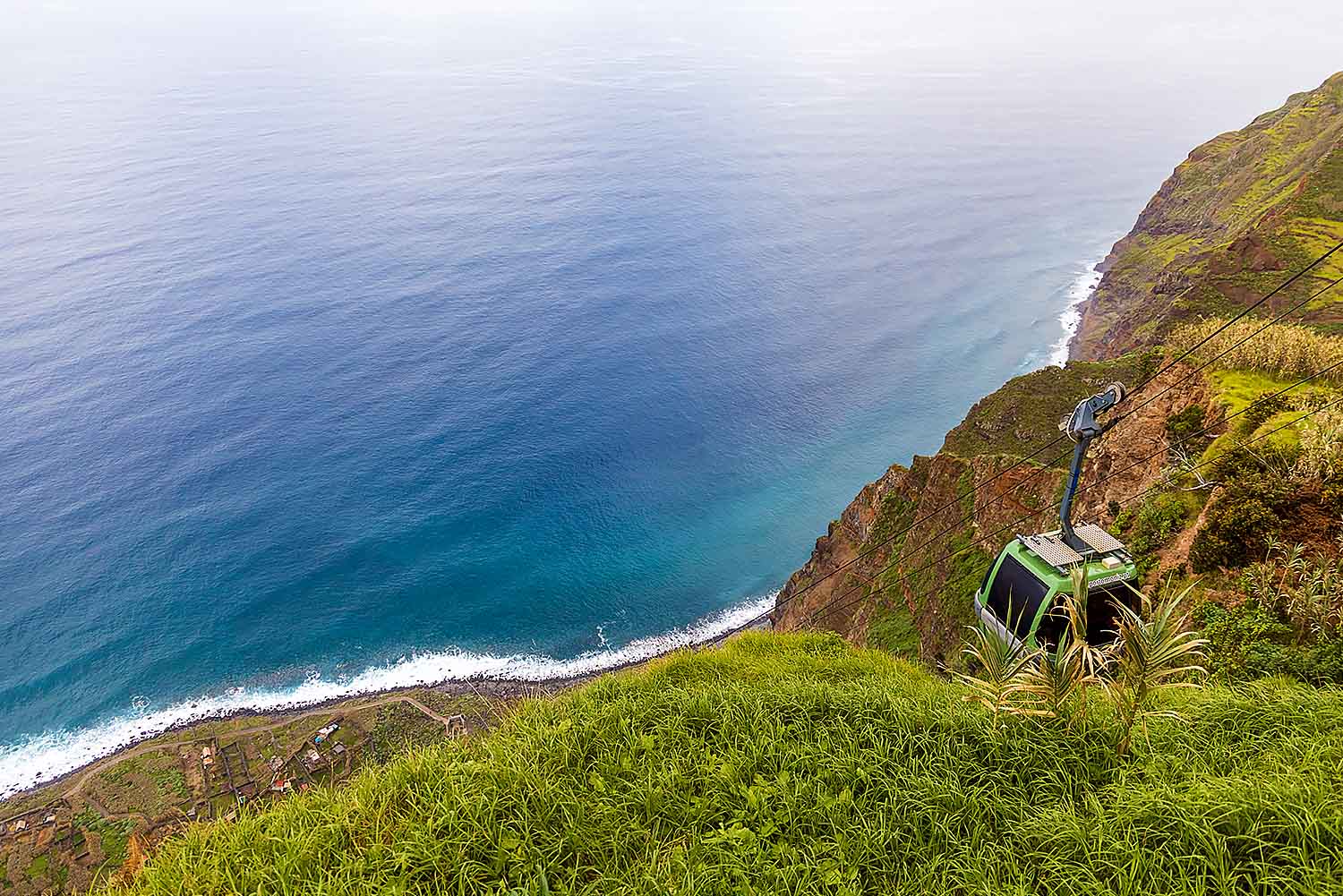 North Tour - Half Day