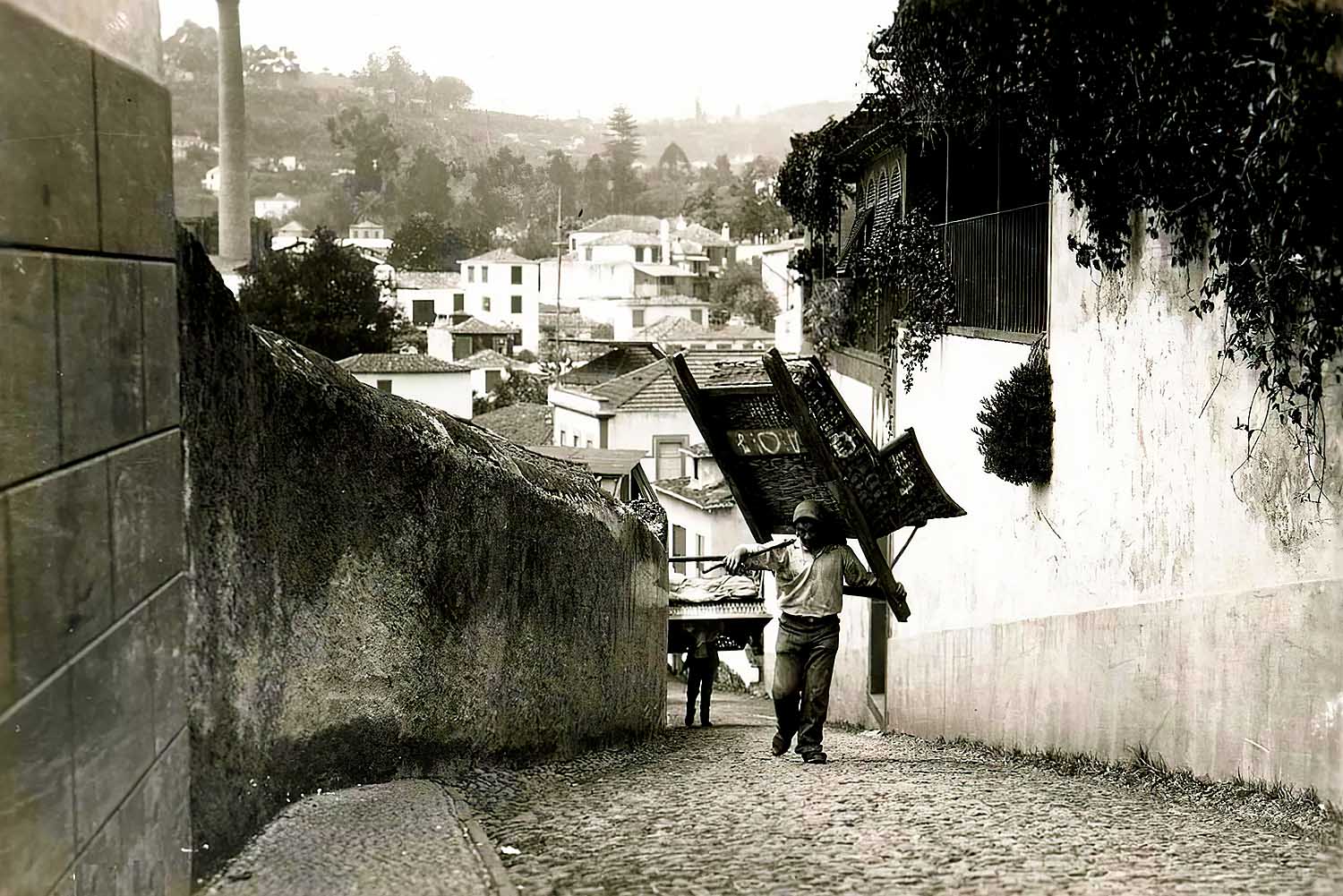 The Monte Toboggan Sledge Tour