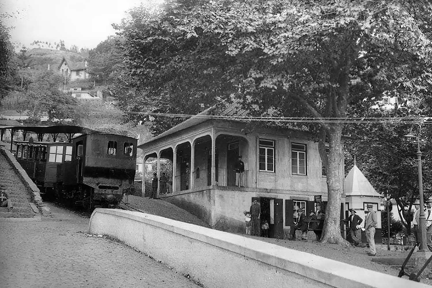 The Monte Toboggan Sledge Tour