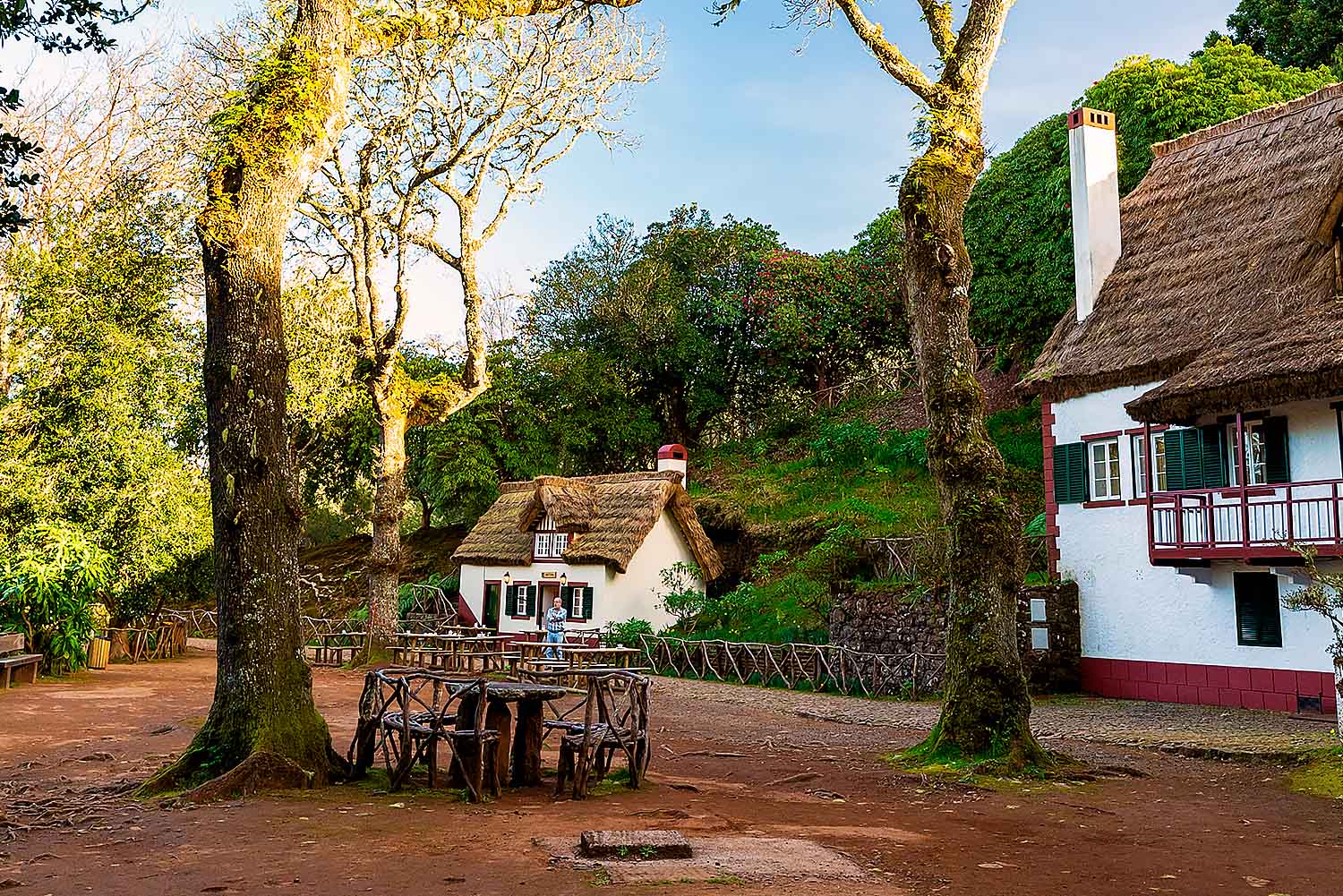 Typical Madeira Houses Tour