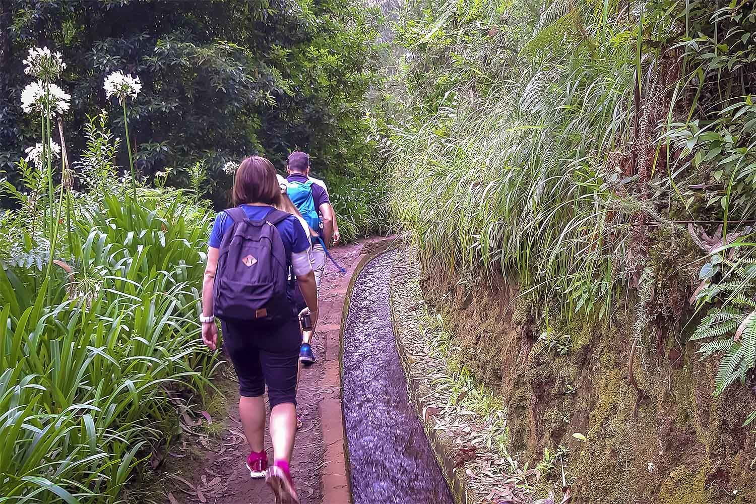 Levada do Rei Walk
