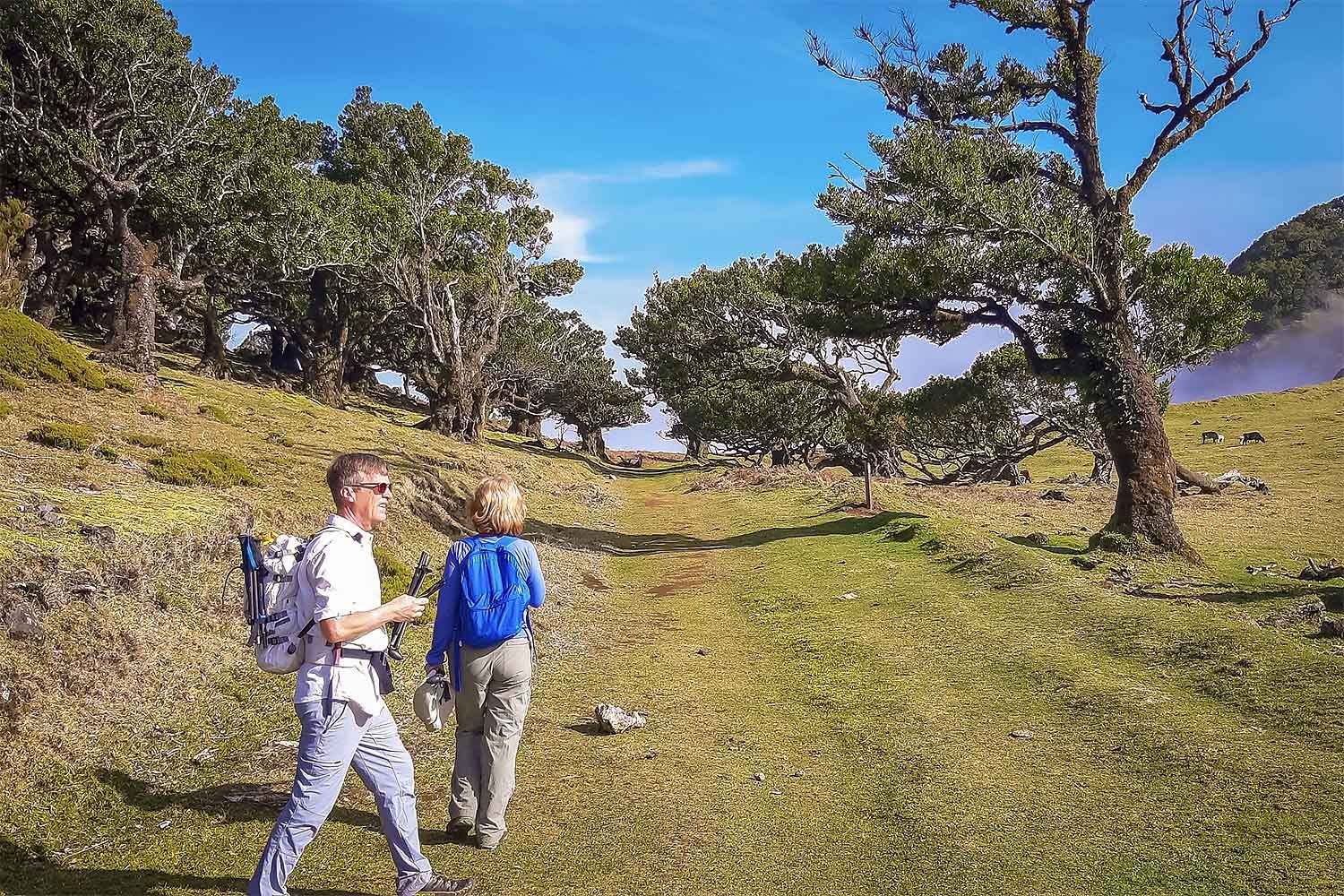 Fanal Walk