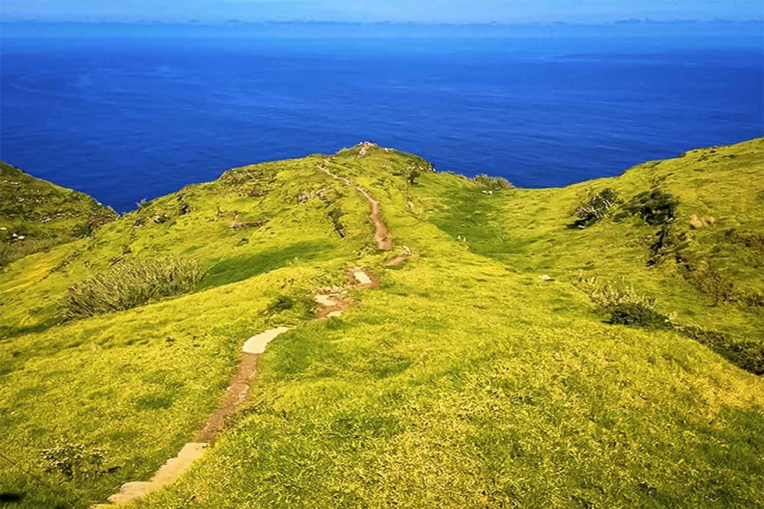 Levada Pedregal – Ponta do Pargo Walk